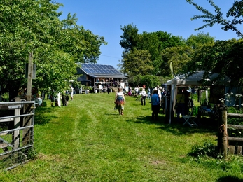 Grassy field filled with people and stalls