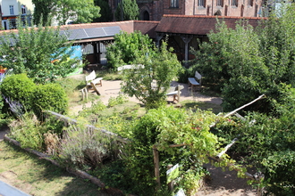 The garden at The Cut