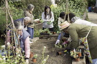 Community group potting plants in a raised bed