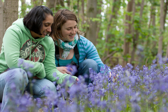 Bluebells - two young women looking at flowers