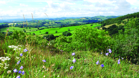 View from Craig Sychtyn