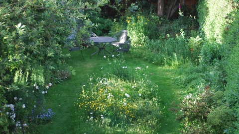 Wildlife garden