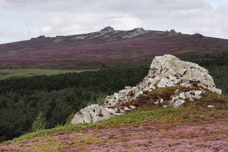 Nipstone Rock