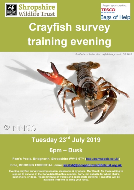 Crayfish survey training evening for volunteers: 23rd July, 6pm, Pam's Pools