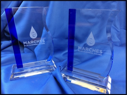 Marches Blue Business Awards trophies