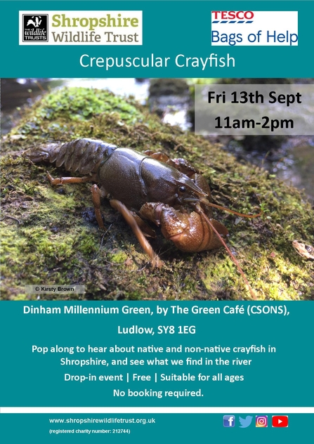 Crepuscular Crayfish river session poster - Ludlow