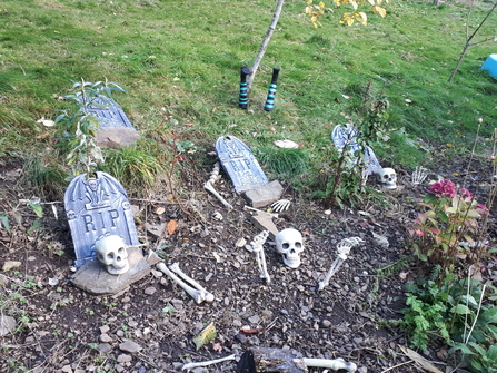 Graveyard skeletons