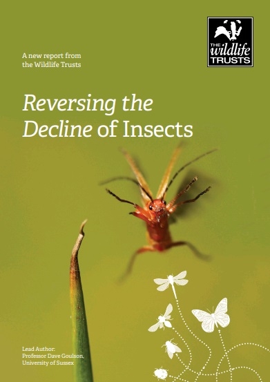 Action for insects