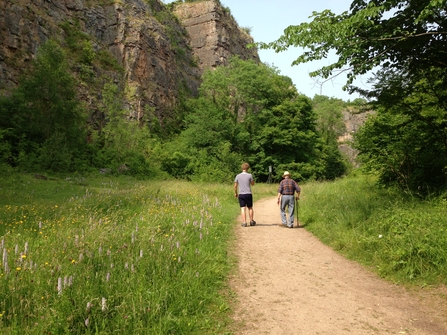 A summer walk at Llanymynech Rocks