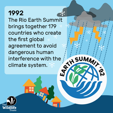 1992 Earth Summit infographic