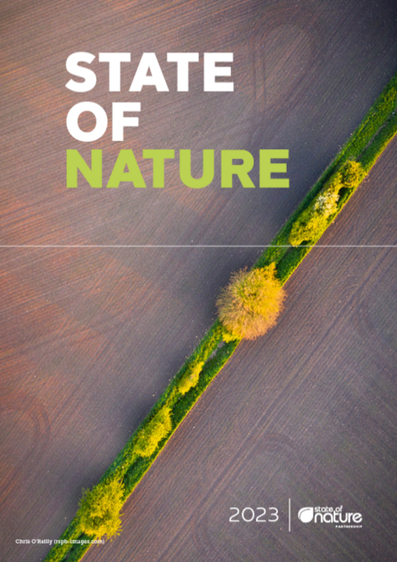 State of Nature report image