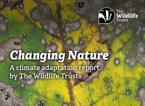 Changing Nature Report June 22