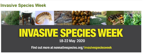 Invasive Species Week 2020