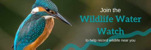 Wildlife Water Watch banner