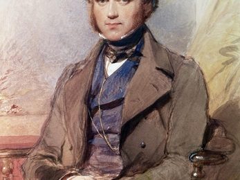 Young Charles Darwin