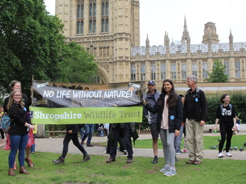 Outside Parliament