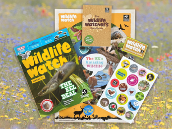 Wildlife Watch membership pack