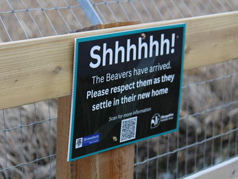 sign on boardwalk - shh the beavers have arrived