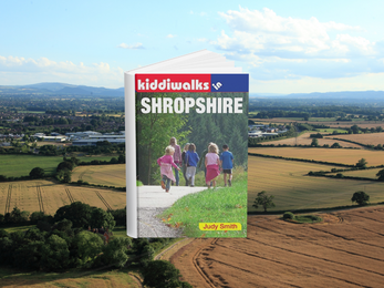 Cover of Kiddiewalks in Shropshire book