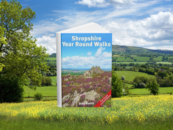 Cover of Shropshire Year Round Walks book