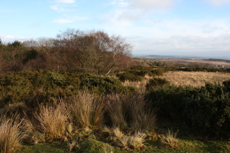 Catherton Common