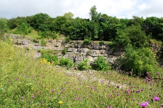 Dolgoch Quarry