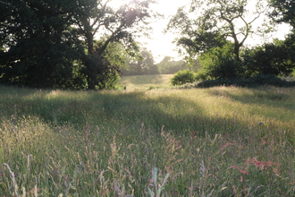 Melverley Meadows