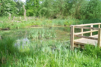 Birch Road Pond