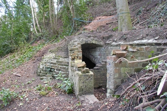 Darwins Ice House
