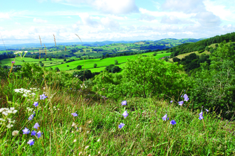 View from Craig Sychtyn