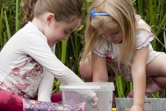 Pond Dipping Ross Hoddinott/2020Vision