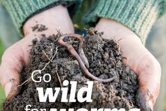 Wild about worms