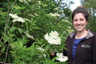 Elderflower