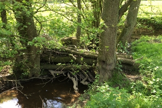 Slow the Flow project Woody debris dam in a Corve Dale brook