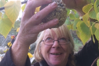 Cath Price bird feeder