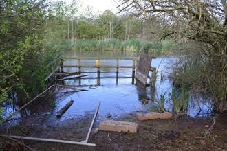 Birch Road Pond flooding