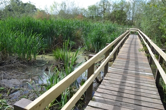 Birch Road Pond