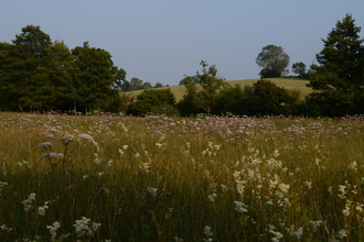 Sweeney Fen