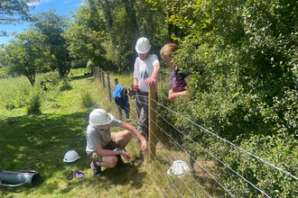 A group of people putting a fence up, wearing PPE and surrounded by trees. Fencing during make your weekends wild.