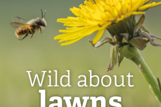 Wild about lawns 2023 image
