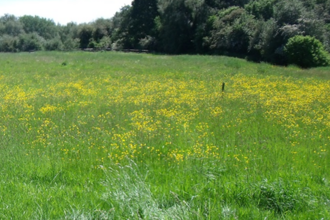 Coronation Meadow Shropshire (Tramway - Lightmoor)