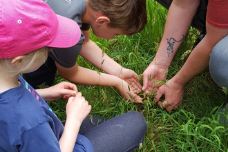 Man and children crouching, looking at insects in grass