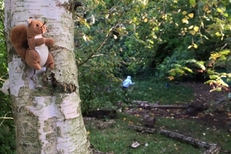 Forest school session 