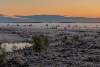 Panoramic shot of sunrise over a wetland