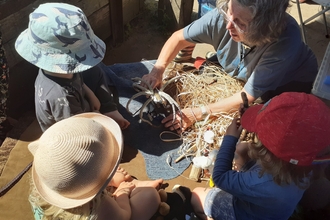 Wildlings Outdoor Toddler Group