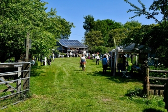 Grassy field filled with people and stalls