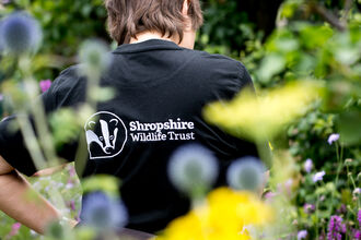 SWT staff member standing in garden