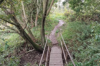 Pathway in wooded area