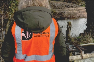 The back of a person with a high vis jacket bearing the Shropshire Wildlife Trust logo