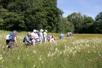 People walking through a meadow